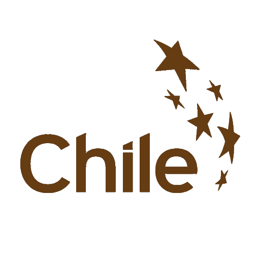 Logo de Hecho en Chile de TastyFree | taste free tastifree tastyfry tastifry tastifri tasty tasti tatifry tatifree tasty sin gluten libre de gluten